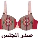 صدر المجلس
