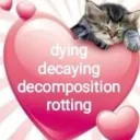 mmaking friemds