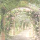 study garden  ⋆˚✿