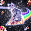 Galaxy cats BOI🤤🤤