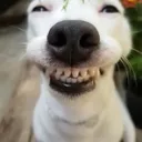 looking :P