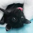 paska