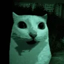 nax