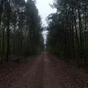 ʜᴏʟʟᴏᴡ ᴛʀᴀɪʟꜱ ⋆˚꩜｡