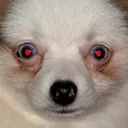 BOO! SPOOKYGAMES!
