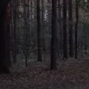 ⦻ » ᴀɴᴀʟᴏɢ ᴅʀᴇᴀᴍᴇʀꜱ .
