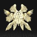 ⊹ ࣪ ˖Angel coveᶻ 𝗓