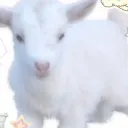 ᥕіᥣᥣs ძᥱᥒ  ིྀ  ིྀ  ིྀ