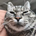Looking for love