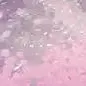 🌸𝓟𝓻𝓮𝓽𝓽𝔂 𝓘𝓷 𝓟𝓲𝓷𝓴🌸