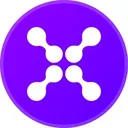 PLEXUS