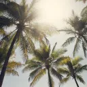Ｓｕｍｍｅｒ－ｆｌｉｎｇ