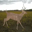 Cutest deer ! discord icon