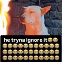 bleh
