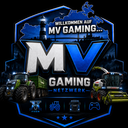MV Gaming Netzwerk LS22/25 icon