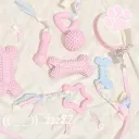 ﾉ*.✧ Pupcord