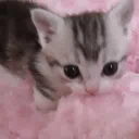 ୨ৎ 𝘣𝘦𝘺𝘰𝘯𝘥 𝘵𝘩𝘦 𝘴𝘵𝘰𝘳𝘮