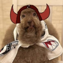 PARAISM Server Icon