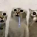 The Drooling Moids n Foids