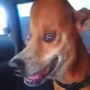 funados’r