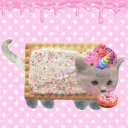 cats!! ≽^•⩊•^≼