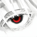 NEXUS icon