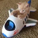 Create: Autism & Aeronautics