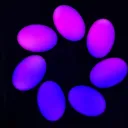 MEGA SELLER discord icon