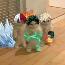 My Hero Academia: Twisting Fates (Remastered)