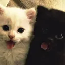 You + Me = Us