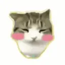 Meowspital! . ⟢ moeshuuu official server
