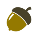 The Baby Acorn