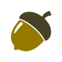 The Baby Acorn