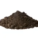 Dirt