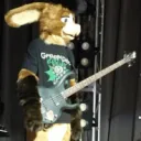 swag furry server