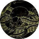 𝐇𝐏: 𝐂𝐚𝐬𝐮𝐬 𝐁𝐞𝐥𝐥𝐢