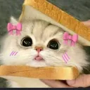 Mimi's Wonderland discord icon