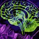 Brain Buddies