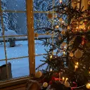 🎄Christmas Nation❄