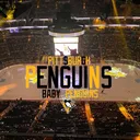 🐧 — Baby Penguins !!
