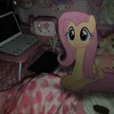 hikikomori