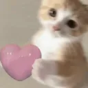 /love - chat, vcs, gws! ( SFW! )