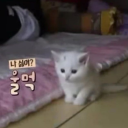 사랑병동