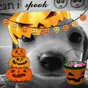 🦇 MI POSERS 🎃's icon