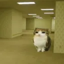 Liminal Space
