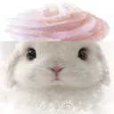 ⋆.  ẞunii 🐰𐙚 ˚