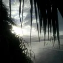 eParadise