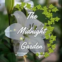 The Midnight Garden