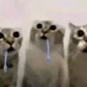 ᗪEᖇᗩᑎGEᗪ ᑕᗩTᔕ