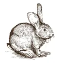 Server icon